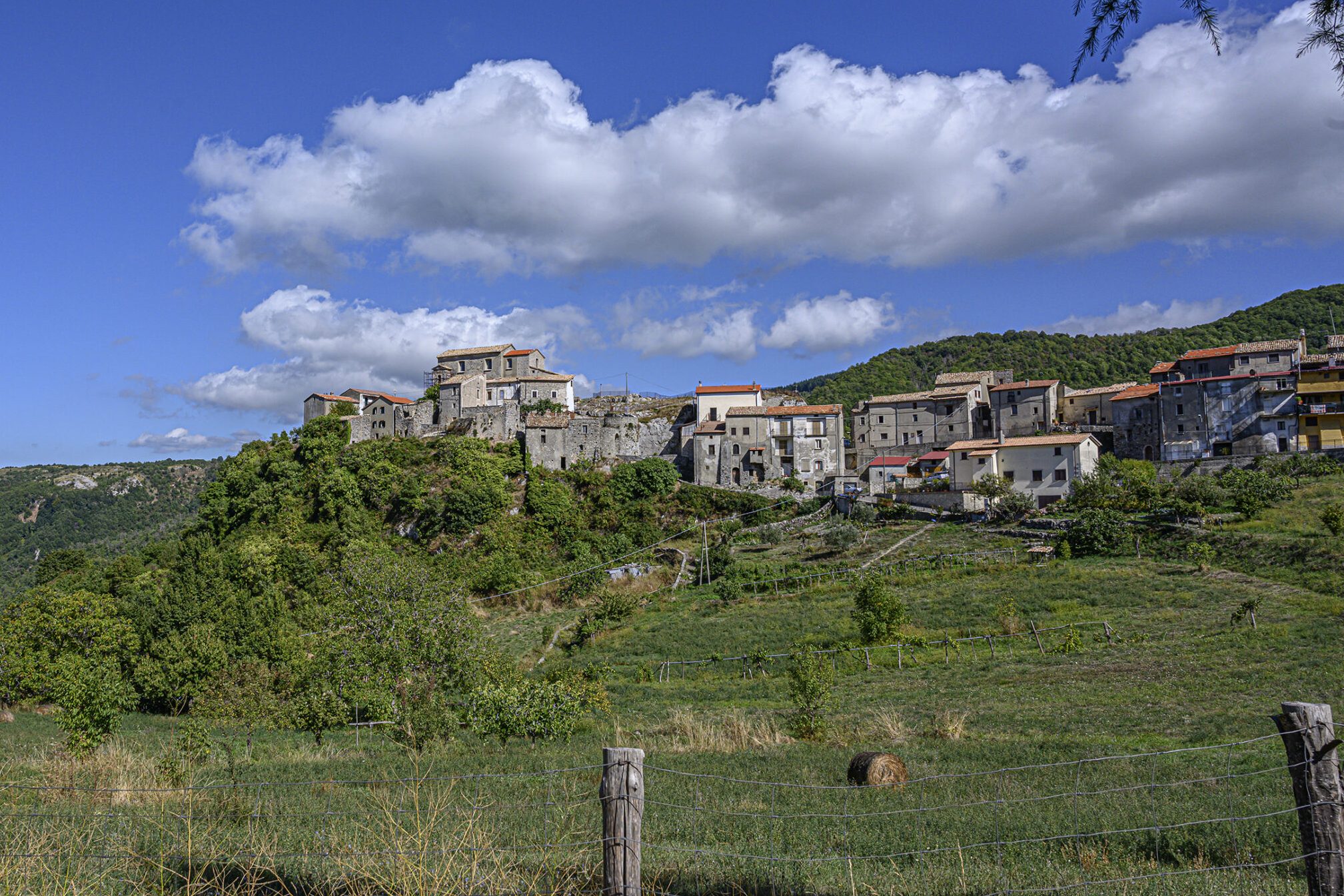 Comune di Domanico CS